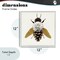 Stupell Industries Nature Constructed Bee Framed Giclee, design by Sasha